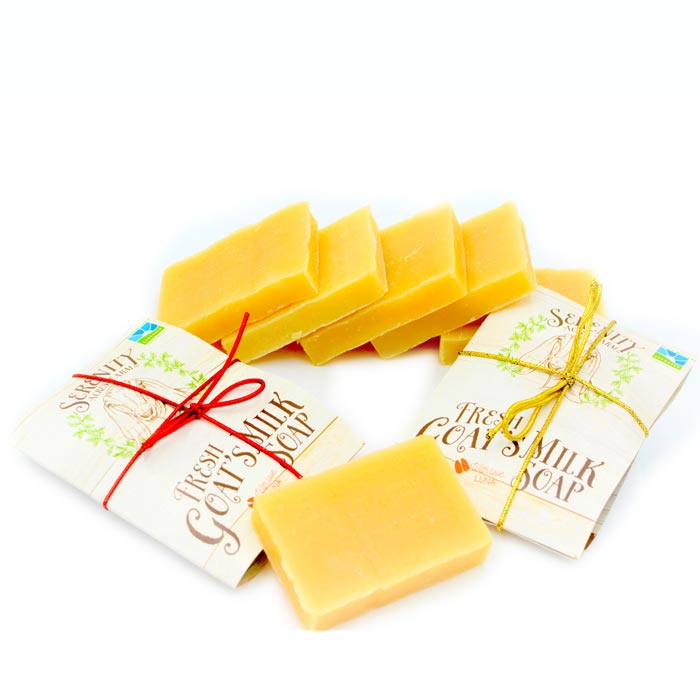 Goat's Milk Soap Minis -1oz Travel Bars